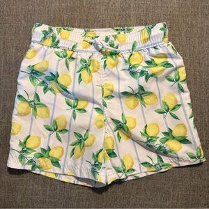 Janie And Jack Boys Size 6 Lemon Stripe Swim Trunks